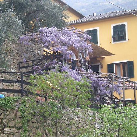 Agriturismo Il Sogno Lorsica Εξωτερικό φωτογραφία