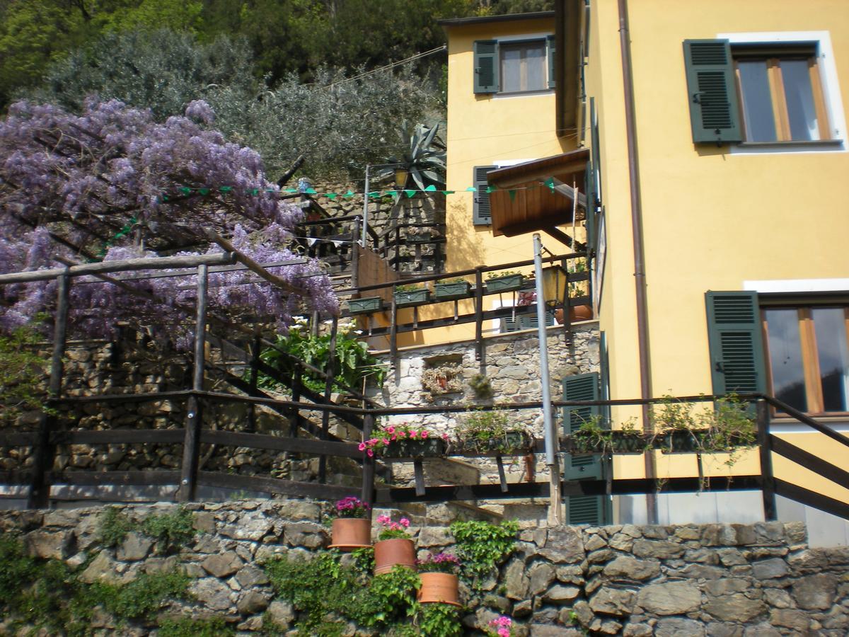 Agriturismo Il Sogno Lorsica Εξωτερικό φωτογραφία